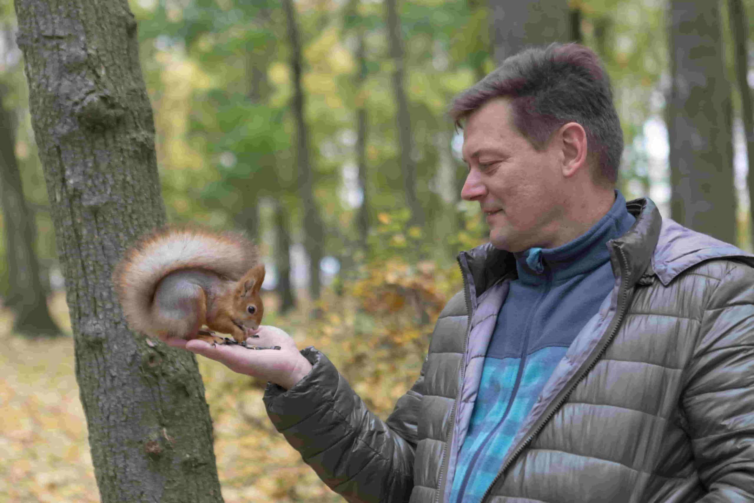 can squirrels cause harm to humans