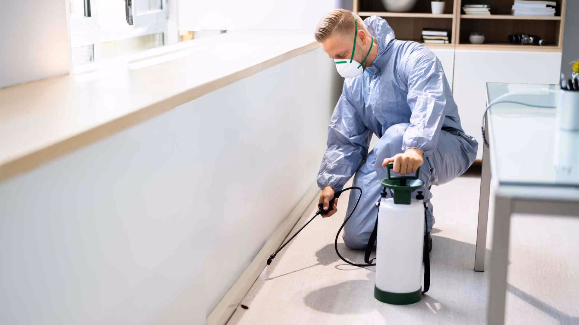 Termite control service for multi-story building in Vaughan 2026