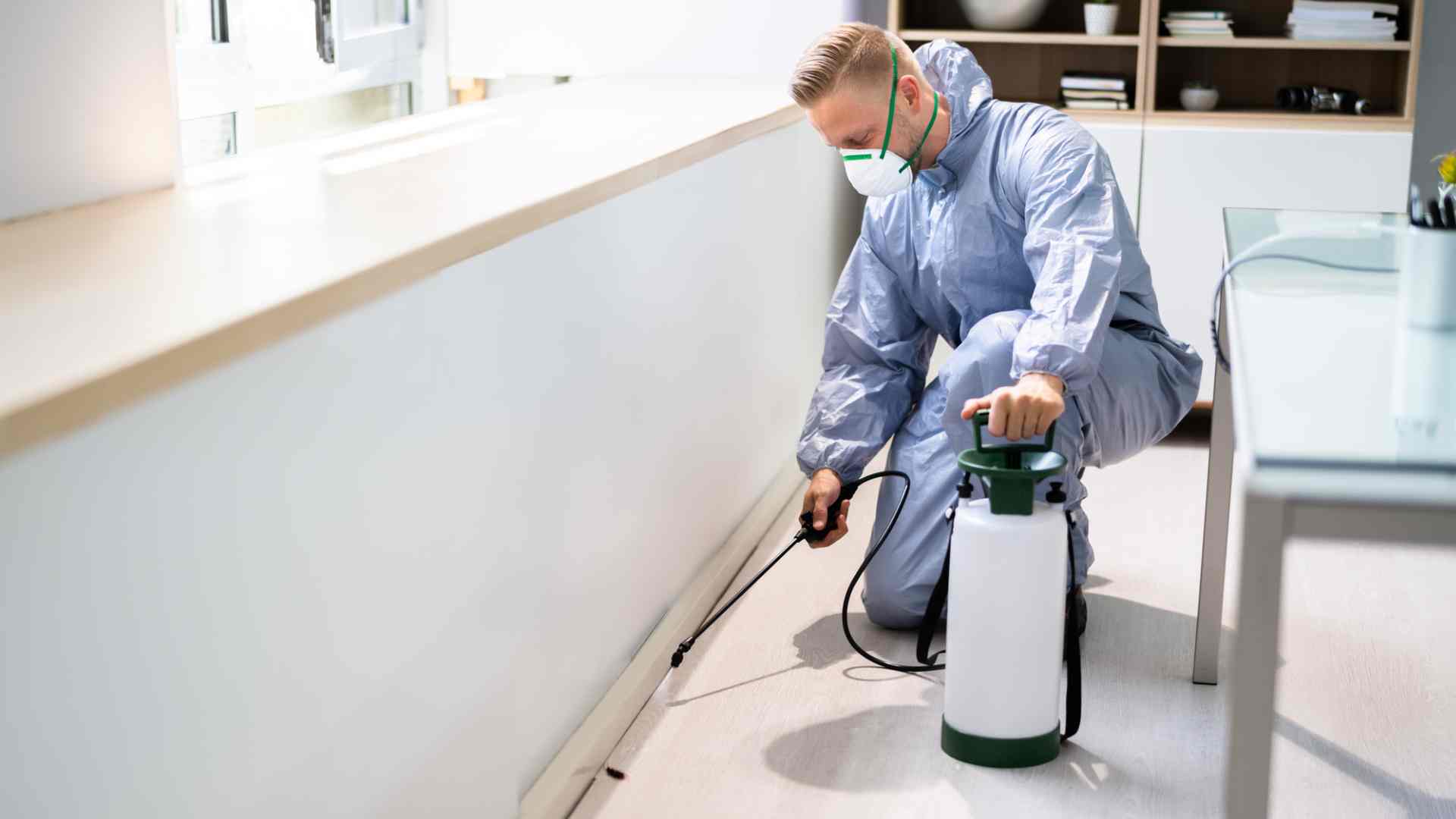 Termite control service for multi-story building in Vaughan 2026