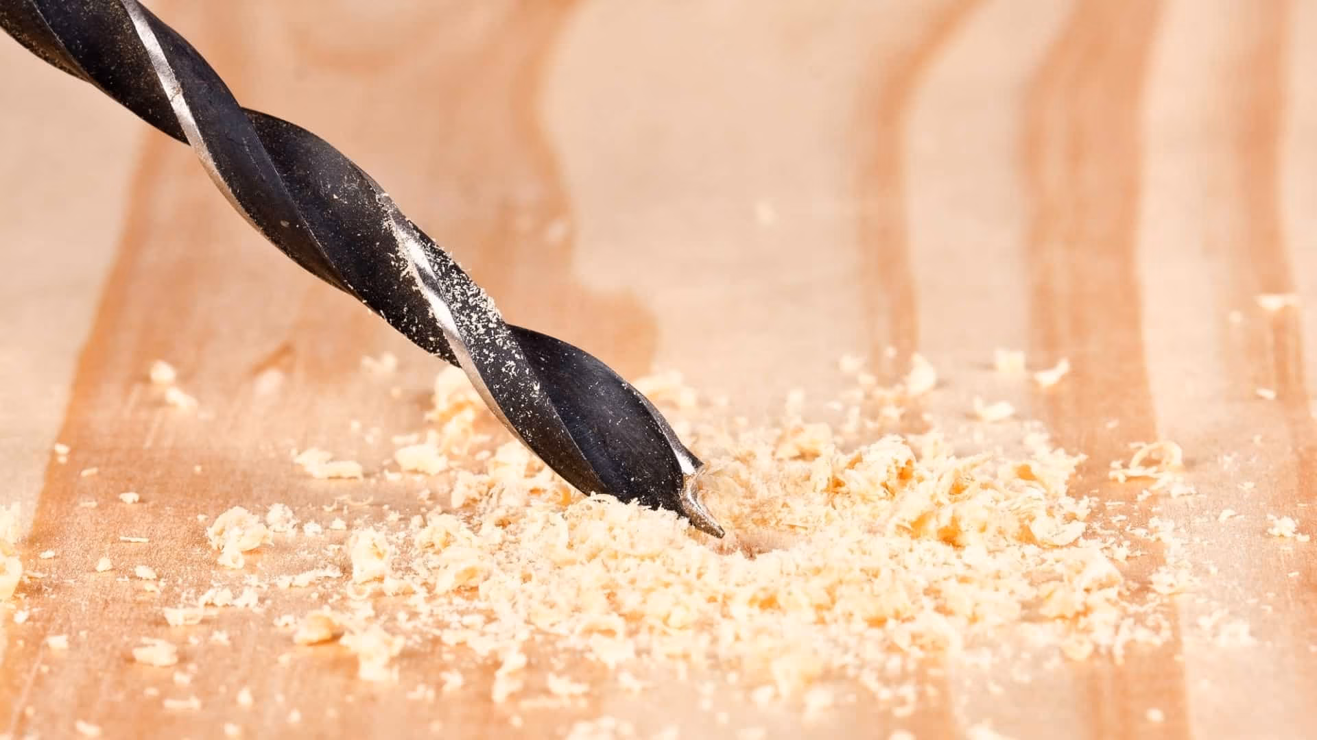 Sawdust found in Vaughan home showing potential carpenter ant or termite infestation in 2026.