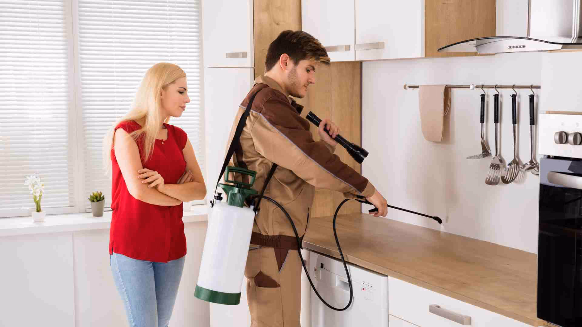 pests that commonly visit your houses in toronto and what can you do about it