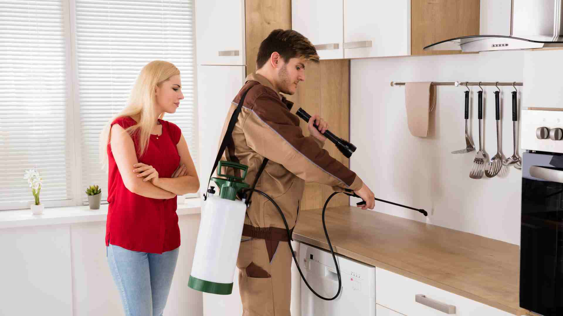 pests that commonly visit your houses in toronto and what can you do about it