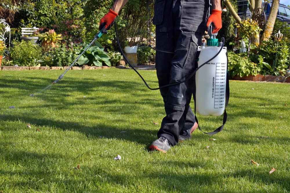 Dog sitting on a lawn after pest control treatment in Vaughan
