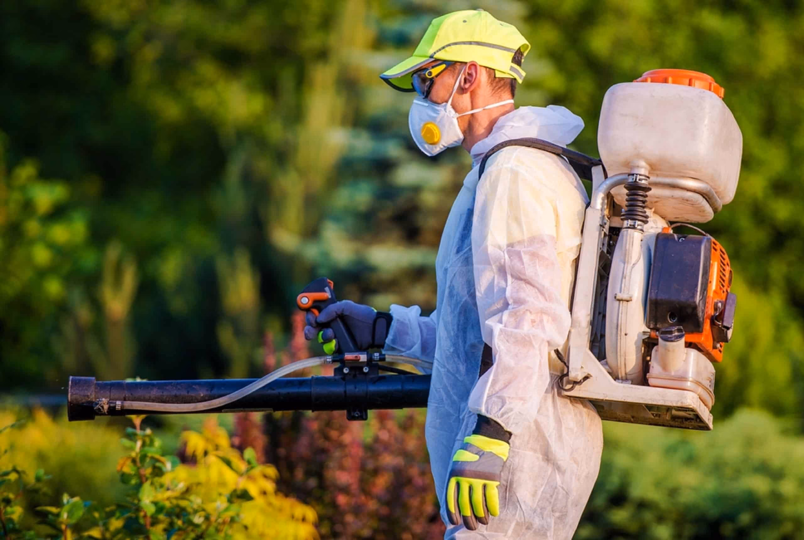 Technician performing pest control treatment in a Kitchener home in 2026 during Spring.