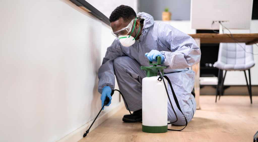 Mice Control in Commercial Properties Mississauga 2026