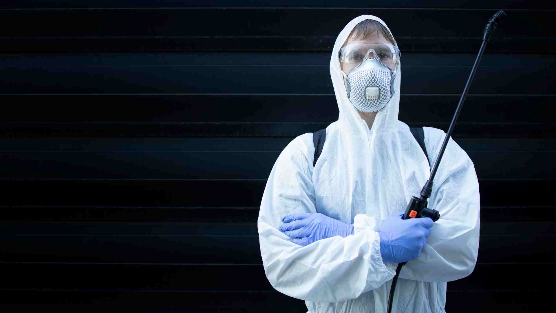 Regular home pest inspection in Toronto 2026