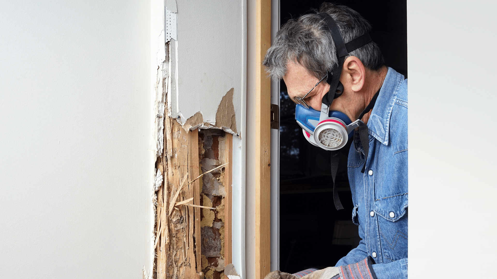 warning signs of termites in toronto
