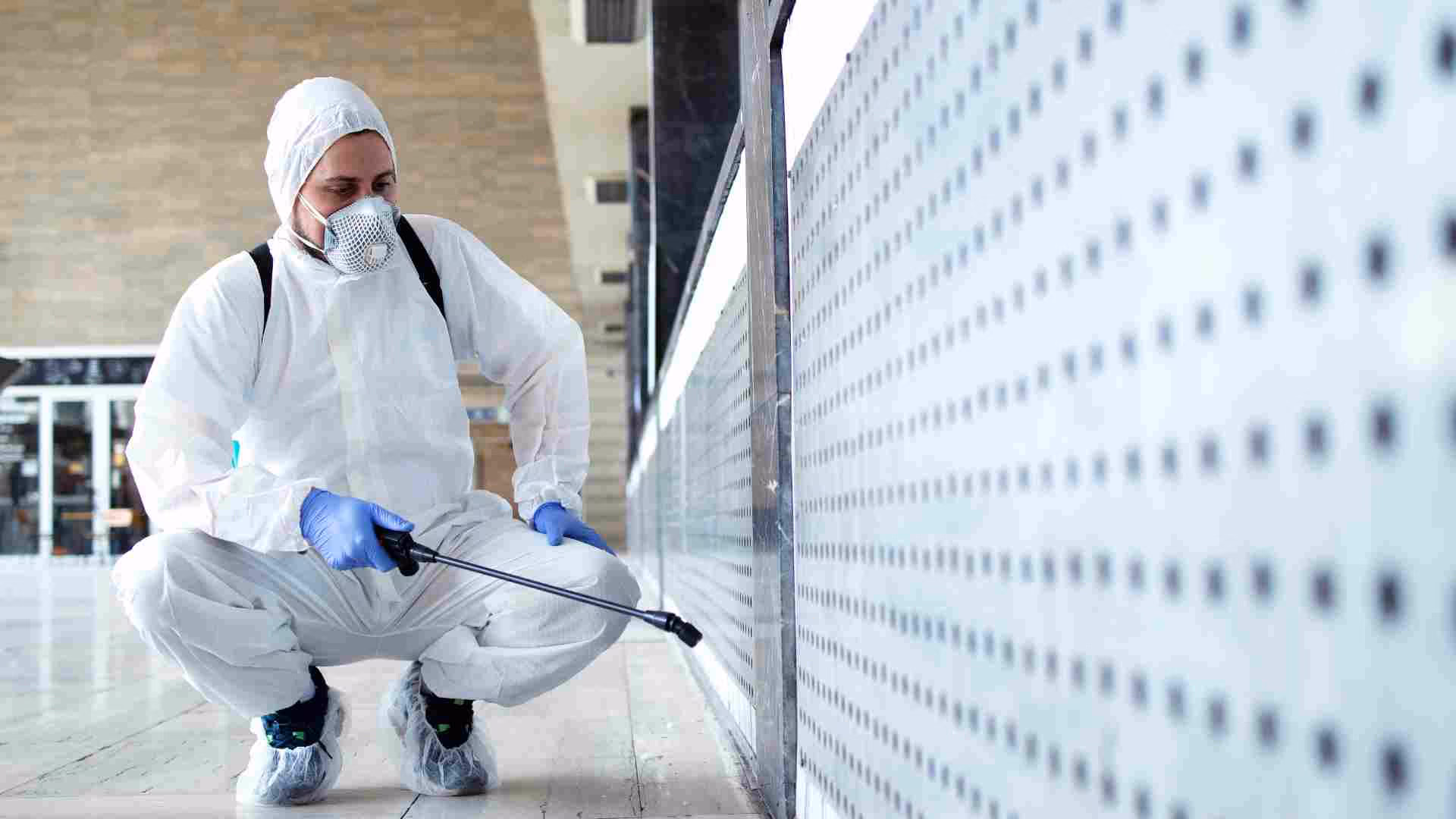 Professional home pest inspection in Brampton 2026
