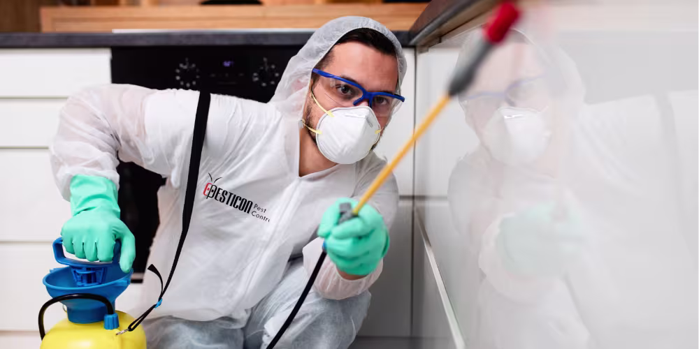 Pesticon technician performing professional pest control treatment