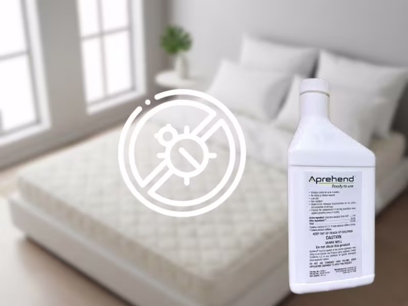 Apprehend Bed Bug Treatment
