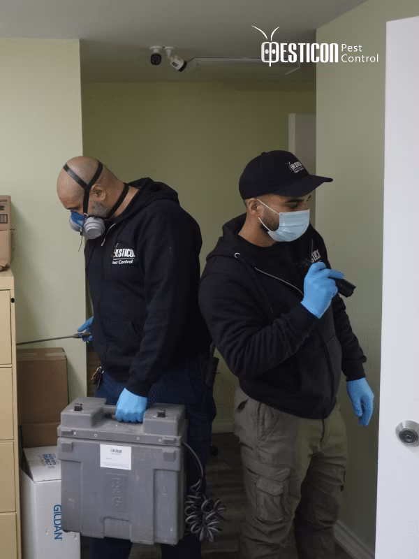 Pesticon technician performing cockroach control treatment in Toronto