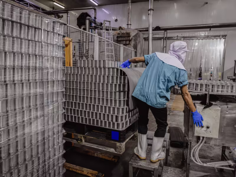 Food preparation factory pest control ensuring hygienic production environments