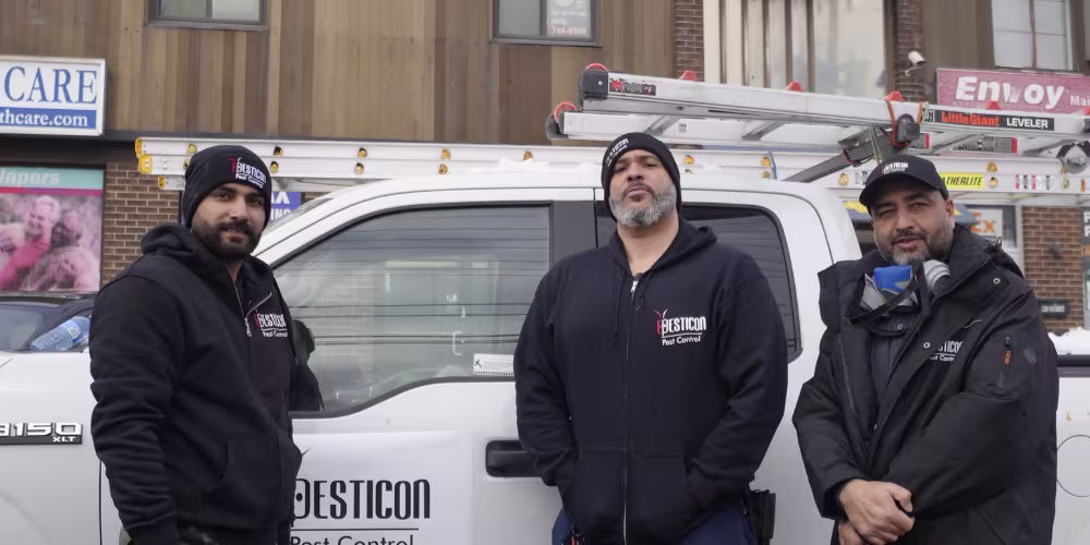 Pesticon grocery store pest control process showing technician performing targeted treatment and inspection