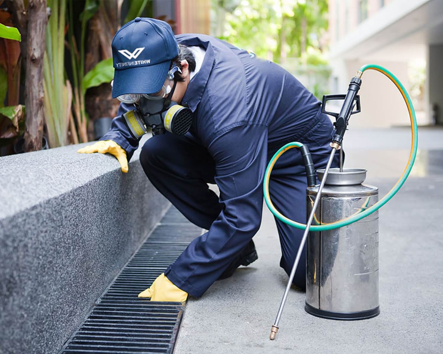 Pesticon licensed pest control technician performing scheduled home protection plan visit in Toronto