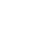 Professional Hornet Nest Removal