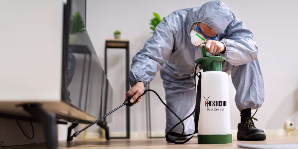 Professional hotel pest control process carried out by Pesticon to inspect and protect hospitality environments