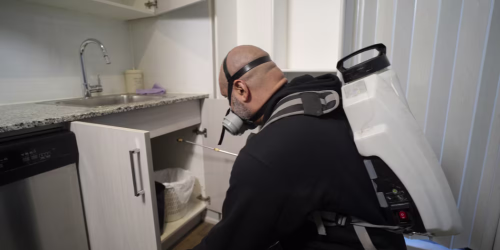 Pest Control Process