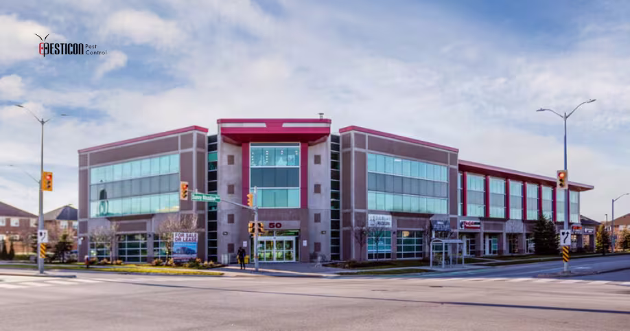 Pesticon Pest Control Team in Brampton