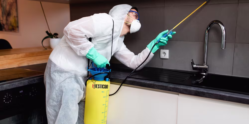 Pest Control Process