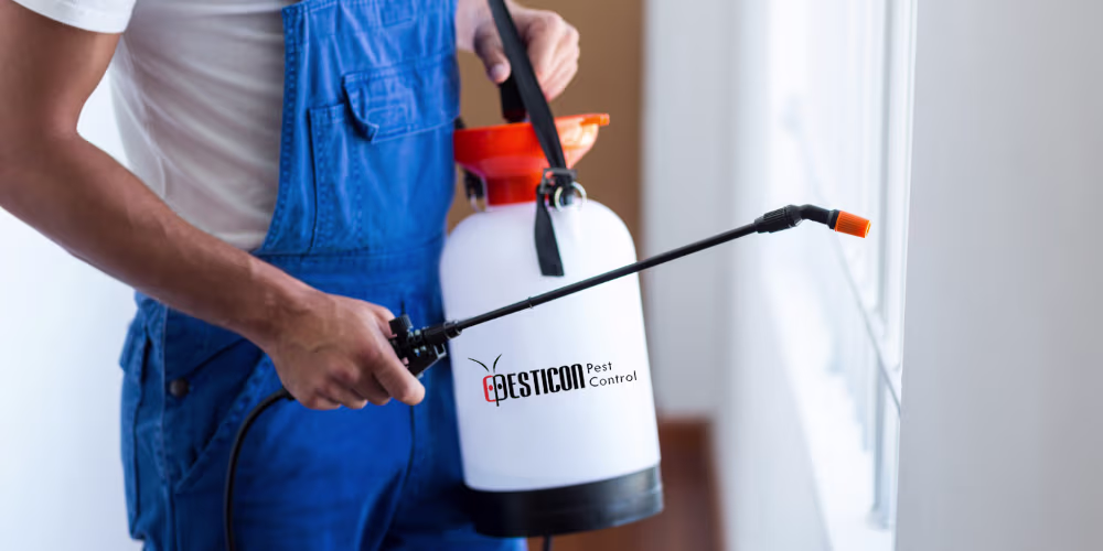 Pest Control Process