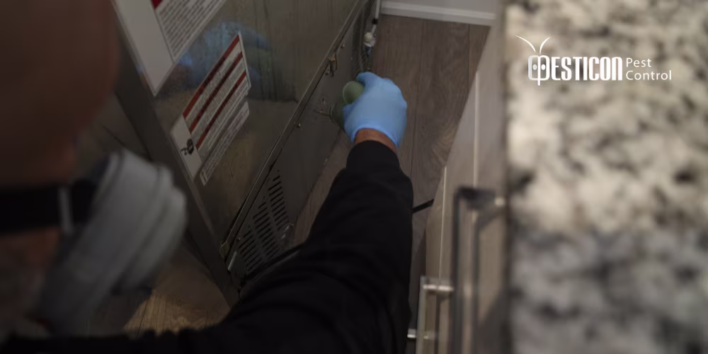 Pest Control Process Mississauga