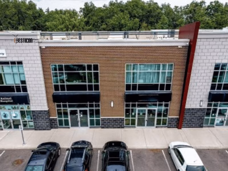 Commercial plaza building in Oakville service area