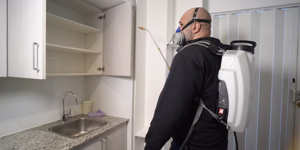 Pest Control Process