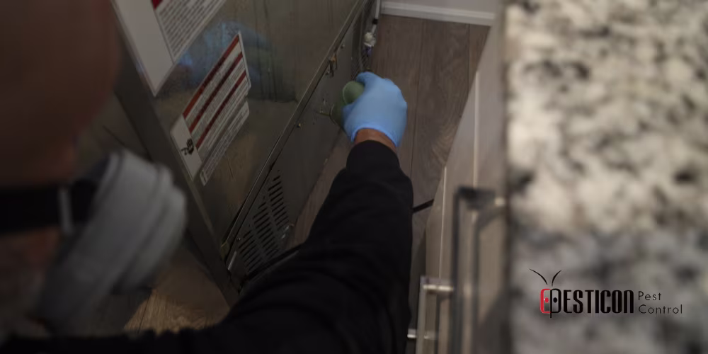Pesticon's Professional Mice Removal Process