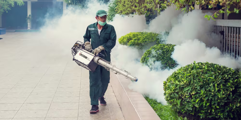 Pesticon's Mosquito Control Toronto Process
