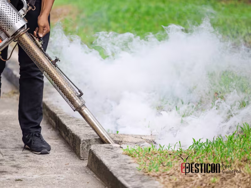 Professional mosquito control technician applying fogging treatment along curb to eliminate breeding areas in Toronto