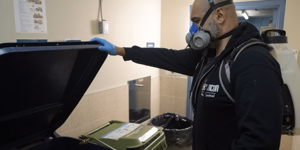 Pesticon restaurants pest control process showing technicians inspecting a Toronto restaurant kitchen