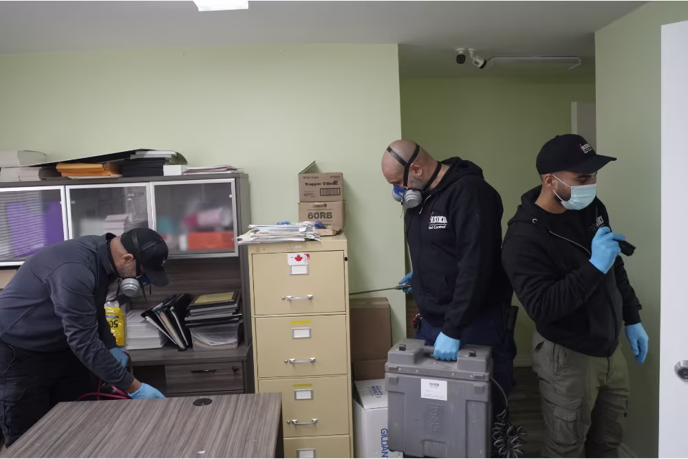 Pesticon Spider Removal Process