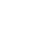 Guaranteed Wasp Nest Removal